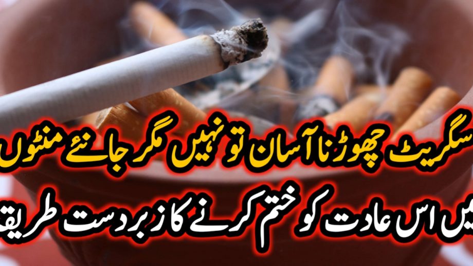 How to Remove Sputum from Chest in Urdu