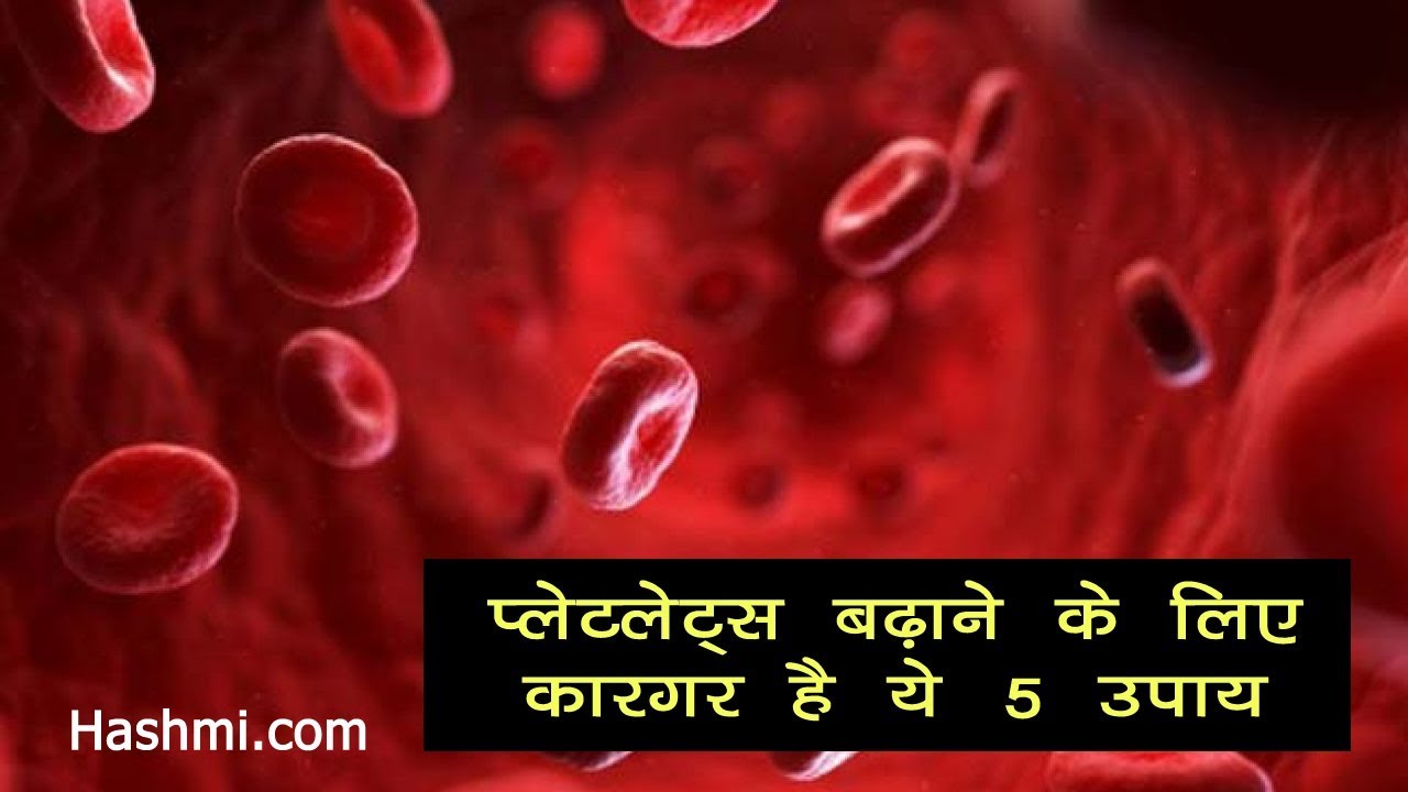 platelets badhane ke upay hindi  YouTube