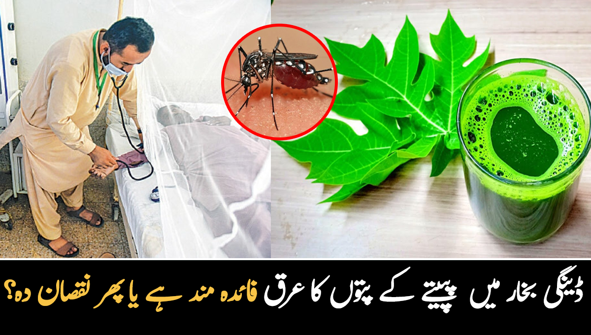 How to Increase Platelets in Dengue Fever in Urdu