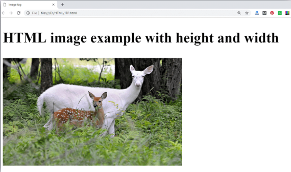    HTML   