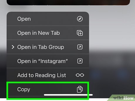 3 Simple Ways to Copy Instagram Captions  wikiHow