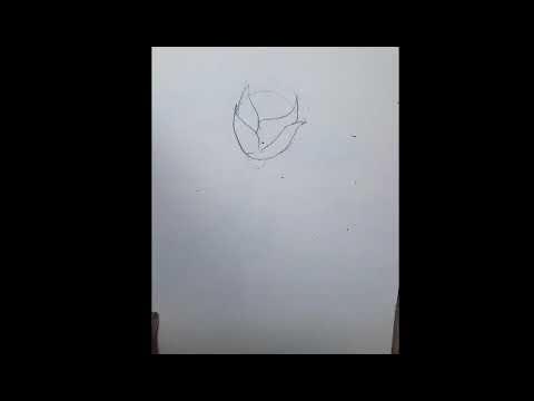 How to Draw A Rose Easy Drawing      Do Drawing 