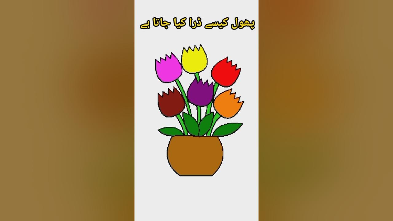 How Can Draw a Flower in Urdu