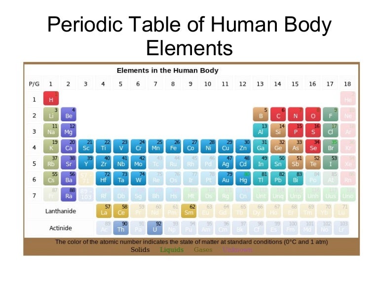 Periodic Table of Human Body Elements
