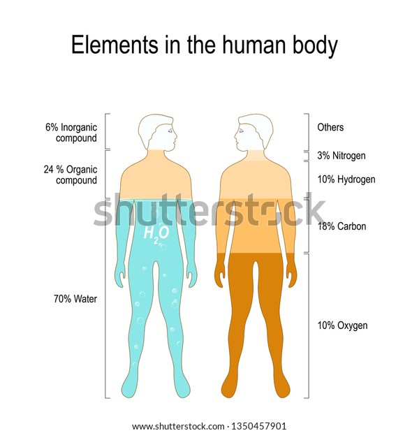 How Many Elements Are There in the Human Body in Urdu