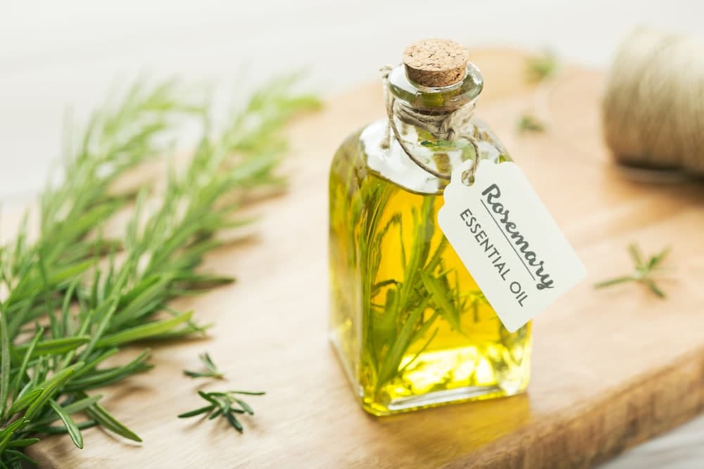 How to Use Rosemary Oil for Hair Growth in Urdu