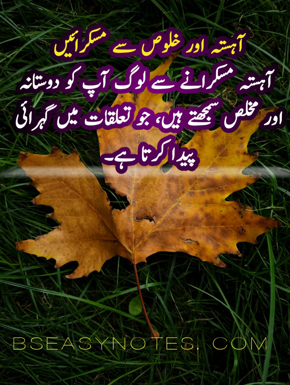 How Do You Want to Be Seen by Others in Urdu