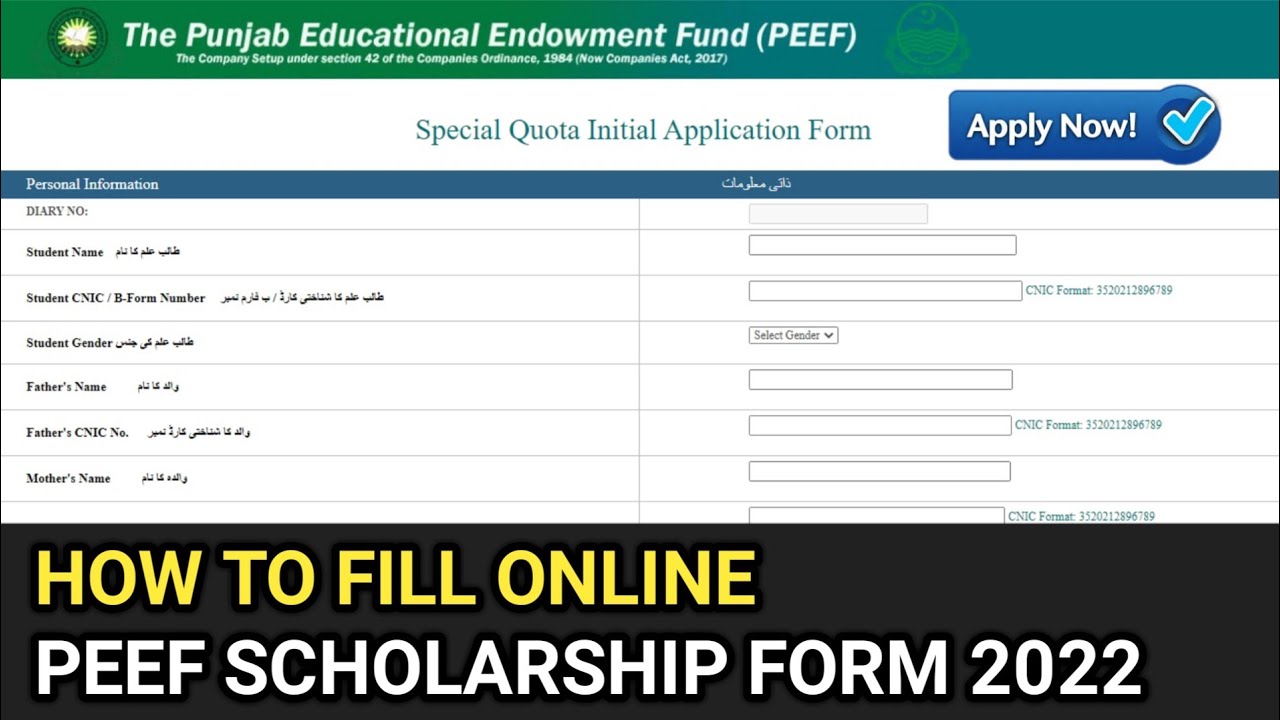 How to Fill Online PEEF Scholarship Form 2022 for Matric Intermediate 