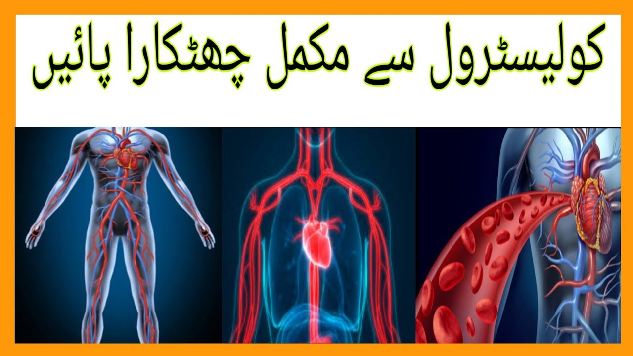 cholesterol kam karne ka tarika       YouTube