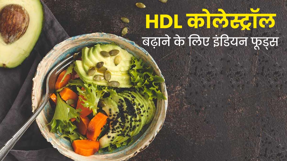 HDL            