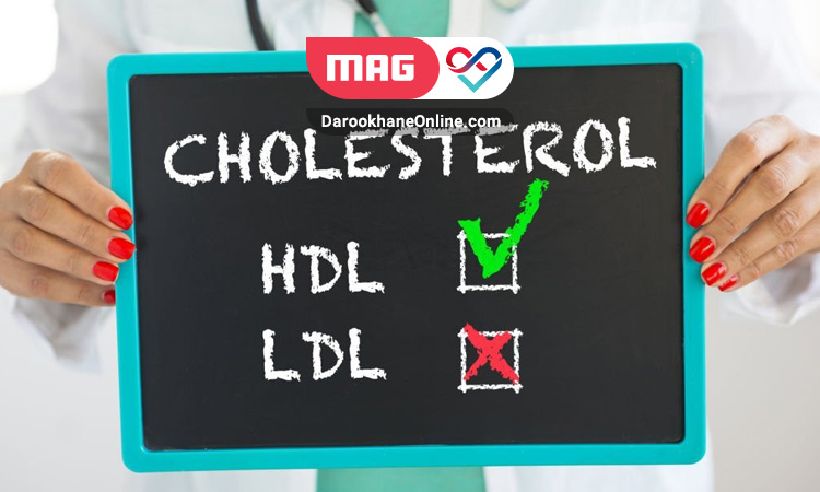       HDL 