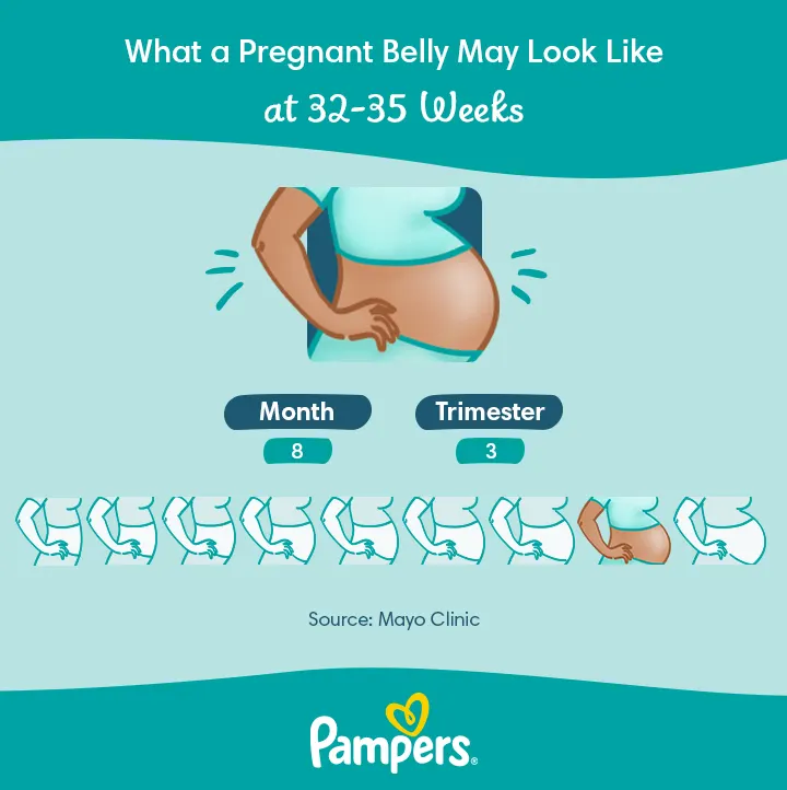 35 Weeks is How Many Months in Urdu