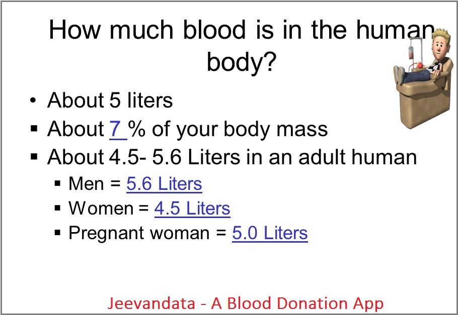 How Much Blood Is In A Human Body In Liters  QHOWM