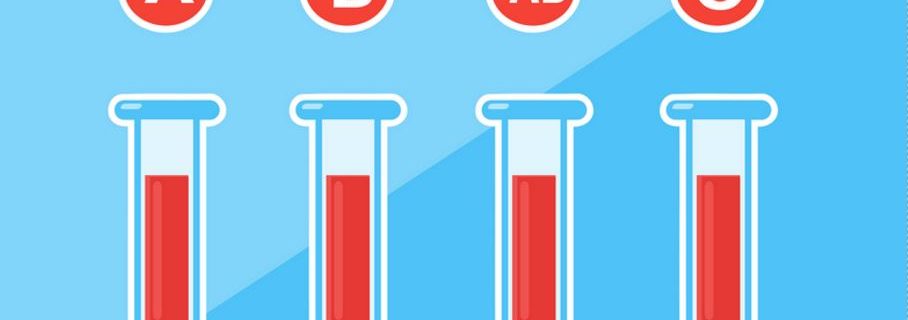 How much blood is there in the body  Dokteronlinecom