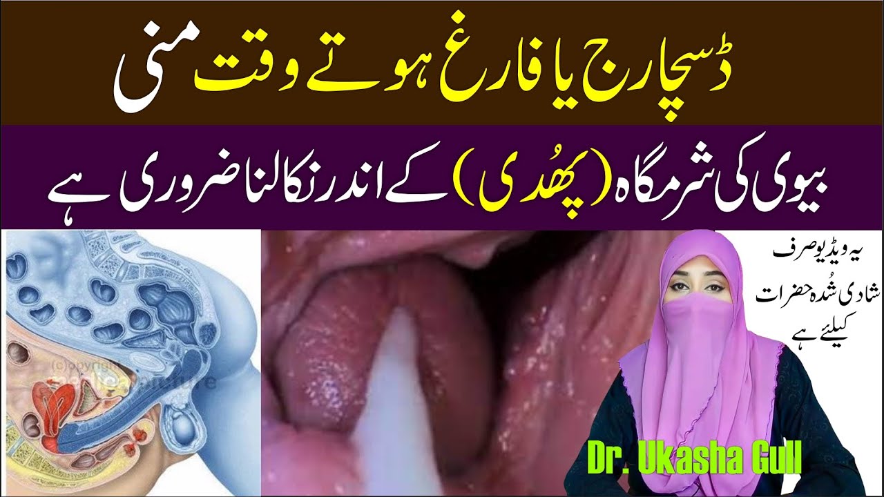 How is Dynamic Equilibrium Established in Urdu