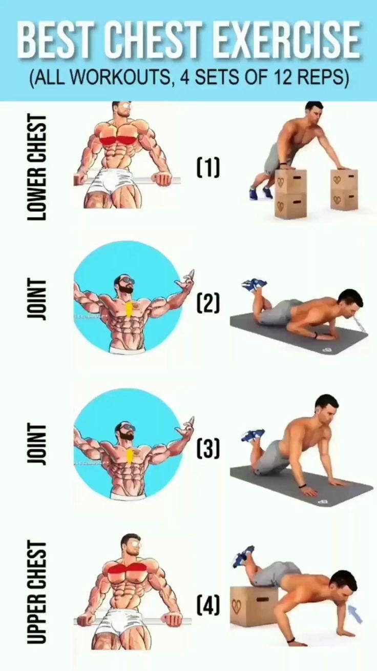 BEST CHEST EXERCISE Video in 2022 Workout videos Gym workout