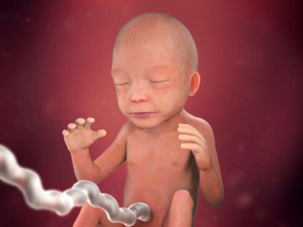 22 weeks pregnant BabyCenter