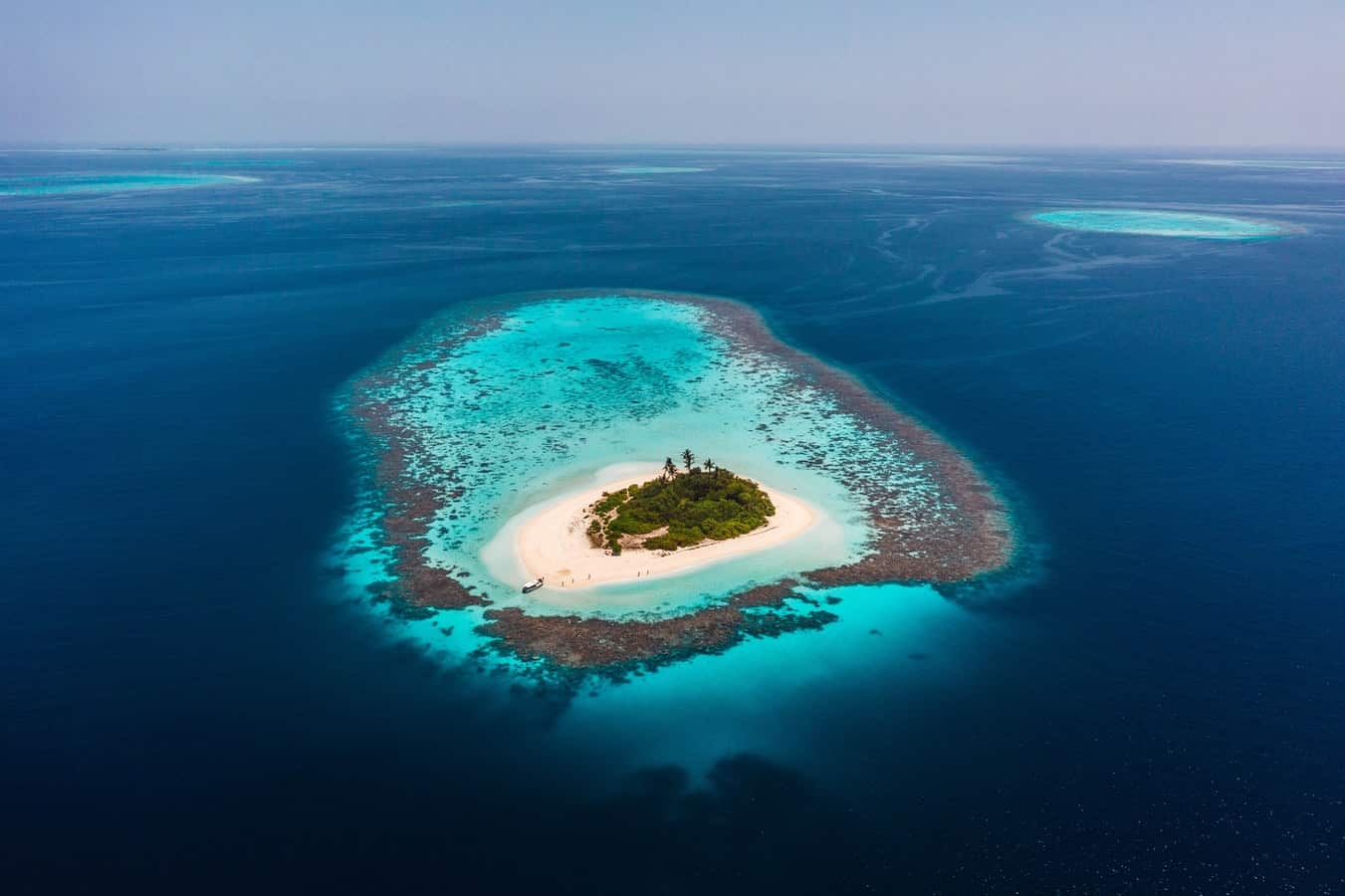 Top 10 Largest Oceans and Seas in the World Ocean Info