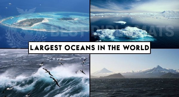 Which Are the Largest Oceans in the World