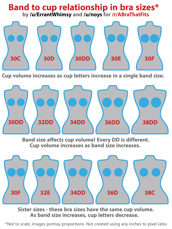 Bra Cup Sizes Examples