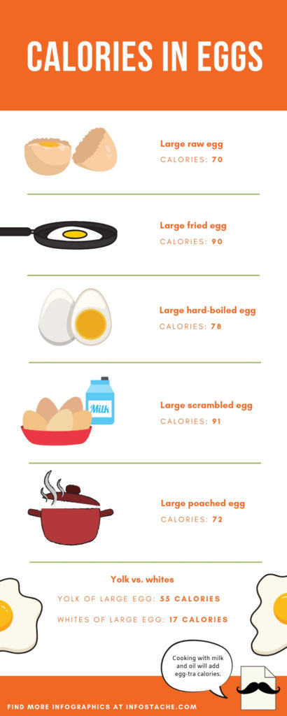 Calories in Eggs Infographic Infostache