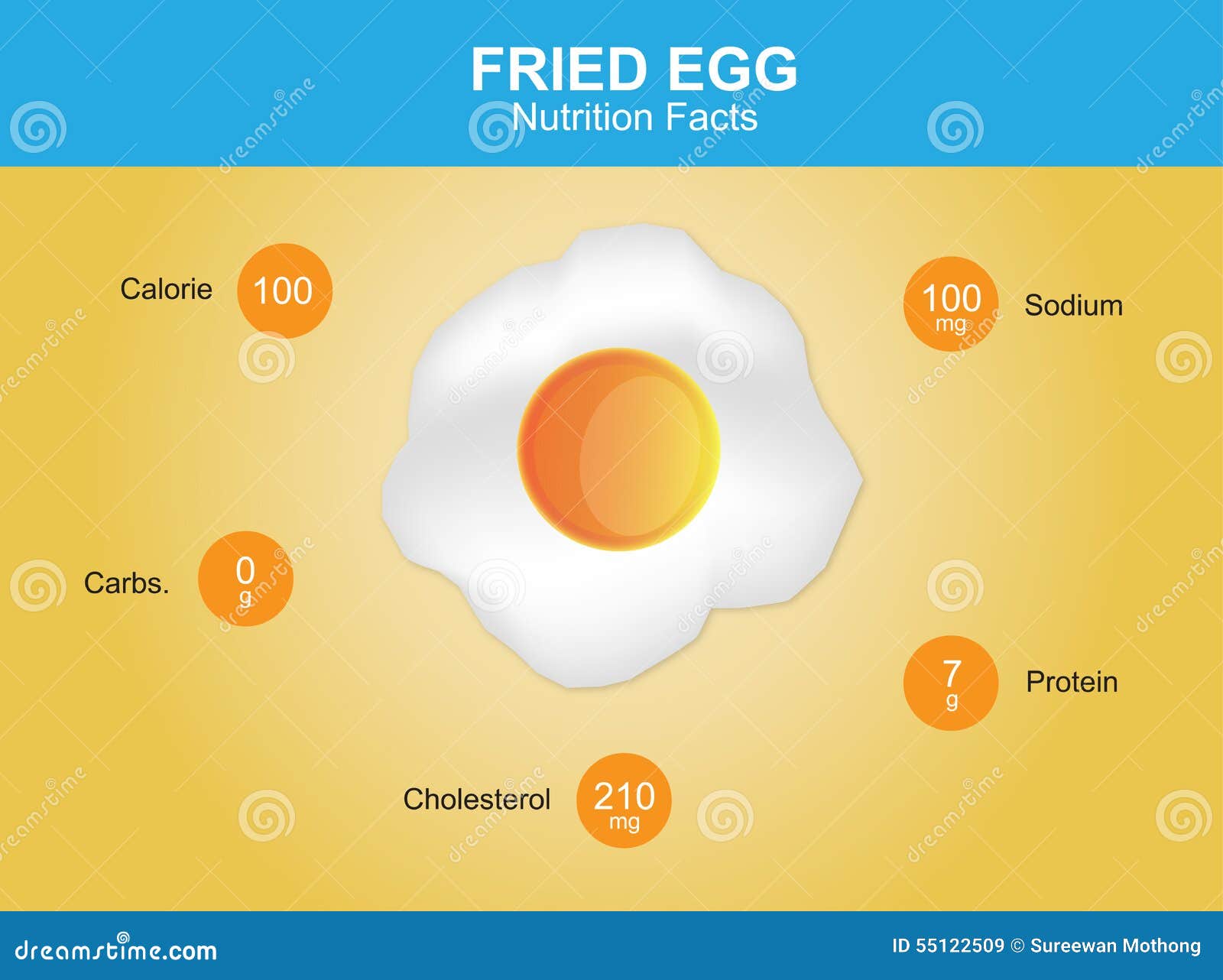 Fried Egg Nutrition Facts Fried Egg with Information Fried Egg Vector