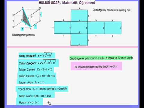 How Many Vertices Does a Cylinder Have in Urdu