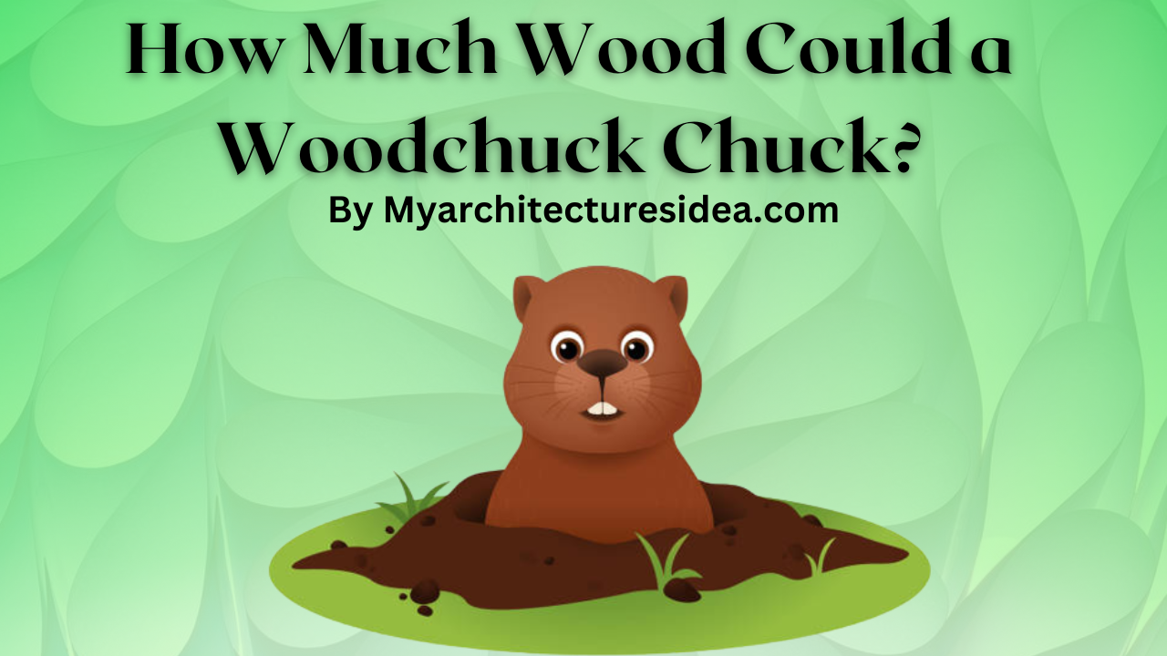 Woodchuck Chucking Wood