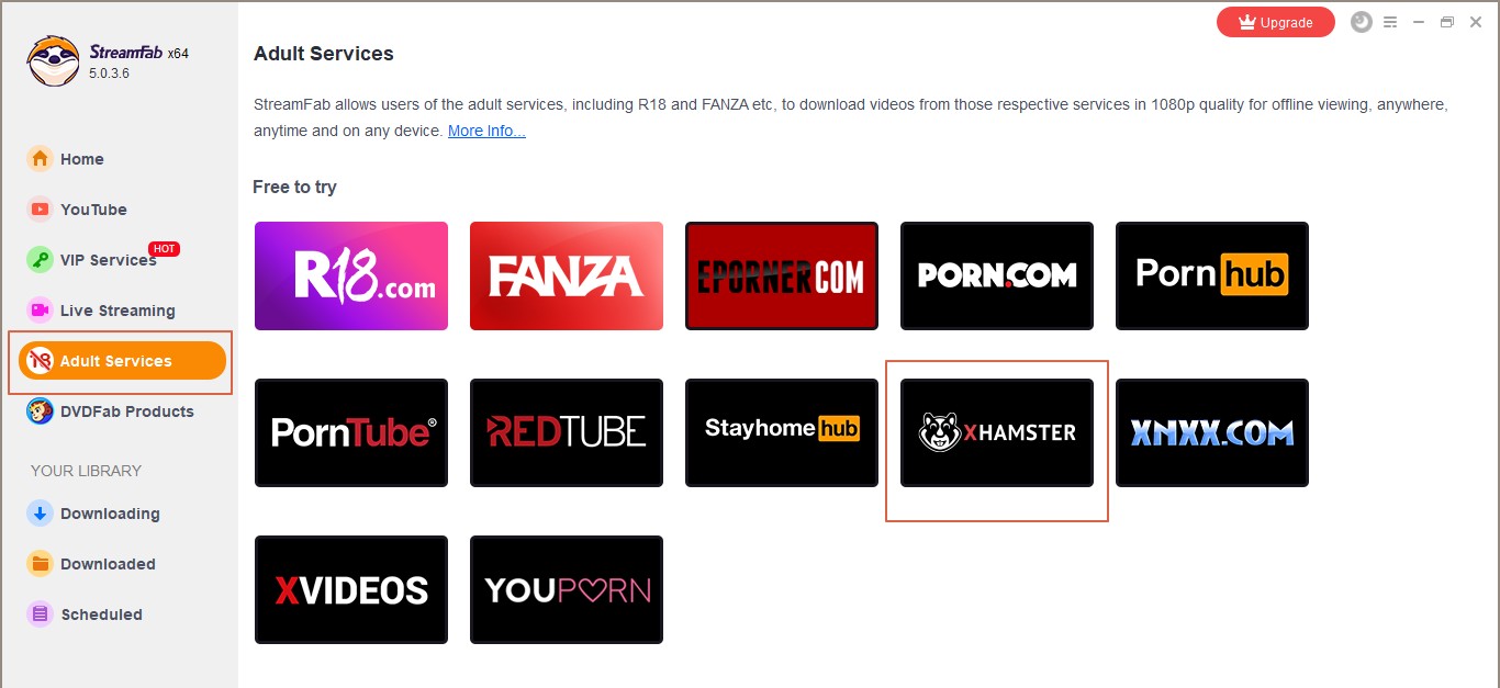 Xhamster zu MP4 Converter Wie man Xhamster in MP4 fr die dauerhafte 