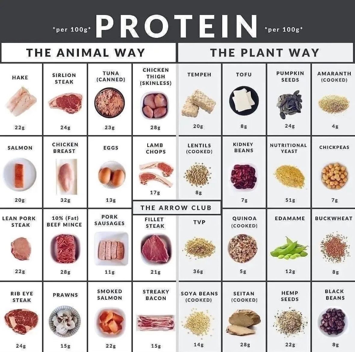 Printable Protein Chart  Printable Free Templates