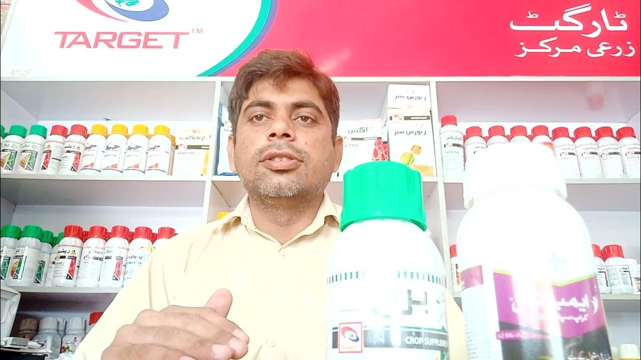 How to grow fruits on cotton       YouTube