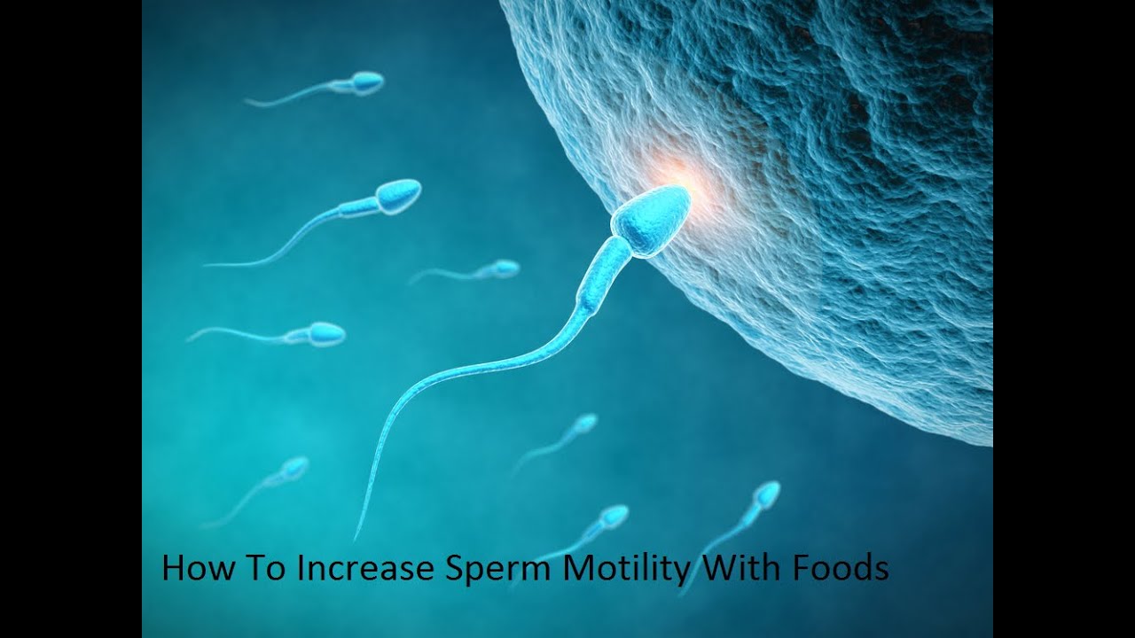 How to Increase Sperm Motility Naturally in Urdu
