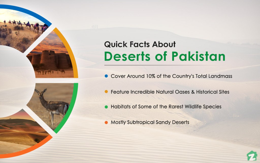 Famous Deserts of Pakistan Thar Cholistan Thal  More  Zameen Blog