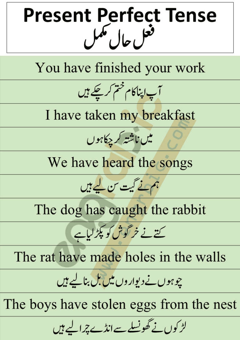 How Many Pecks in a Bushel in Urdu