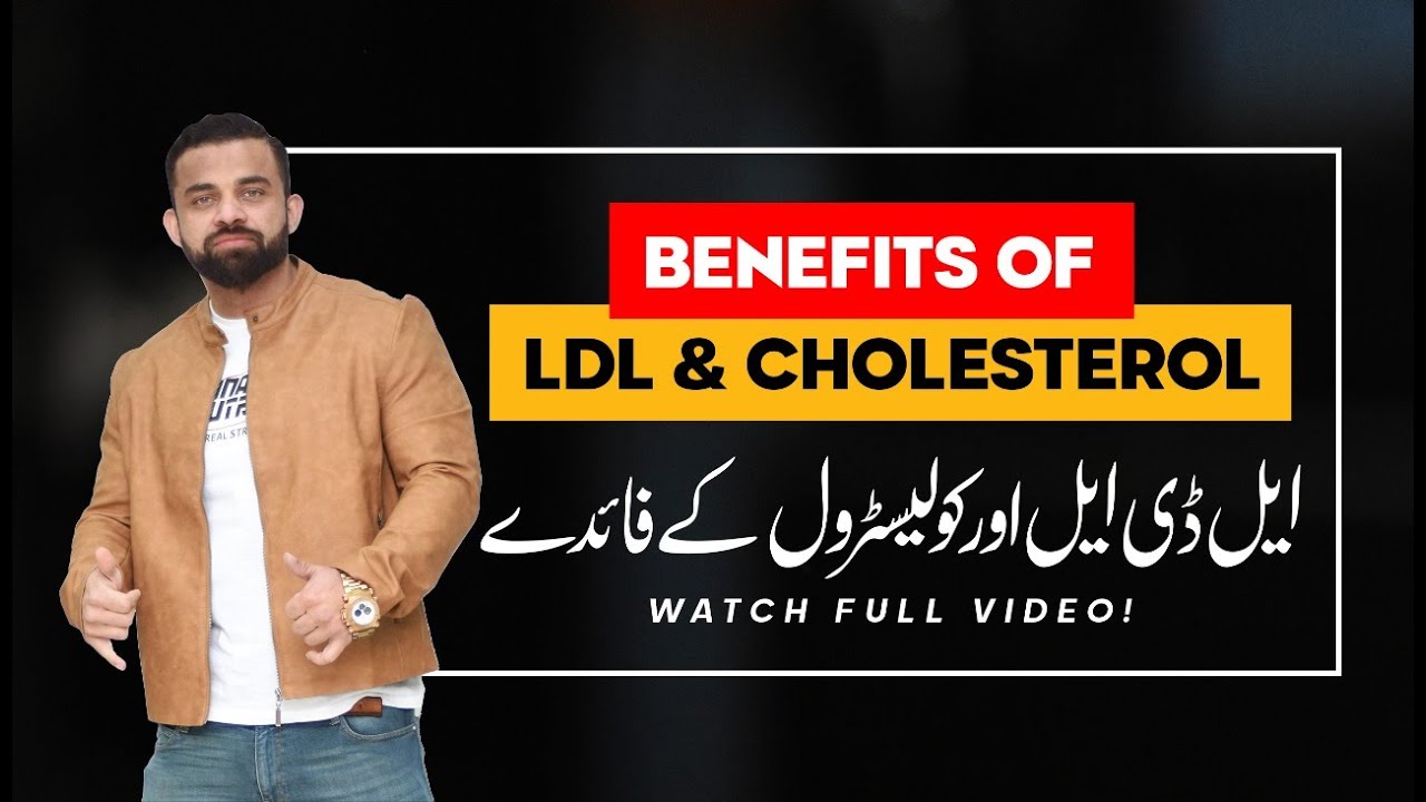 LDL How to Works in Human Body  What is LDL LowDensity Lipoprotein 