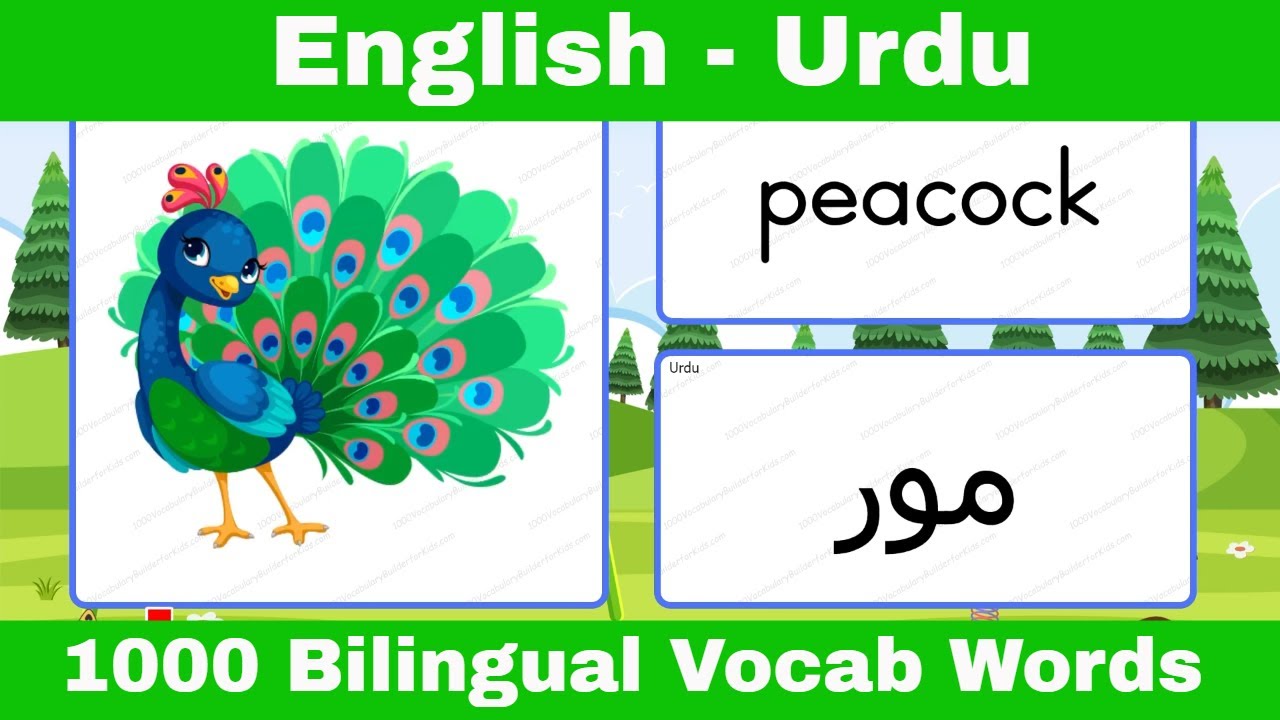 How to Speak Urdu Language in Urdu