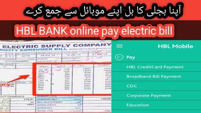How to Pay Electricity Bill Online in Urdu