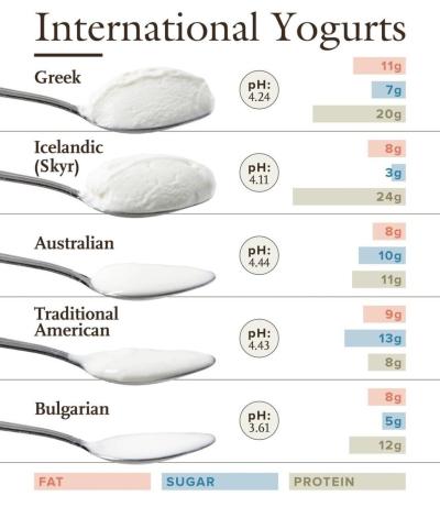 How Many Protein in 100 gm Yogurt in Urdu