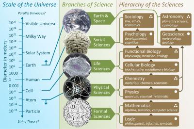 How Many Branches of Science in Urdu