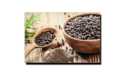 How Does Black Pepper Grow in Urdu