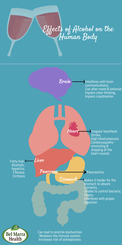 How Alcohol Works in Body in Urdu