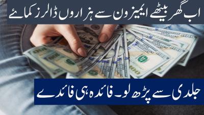 How Many Page Views to Make Money in Urdu