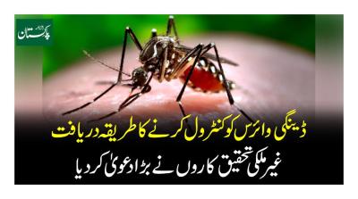 How to Cure Dengue in Urdu