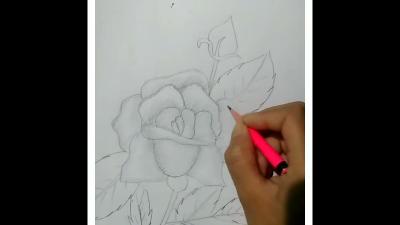 How Can Draw a Flower in Urdu