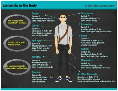 How Many Elements Are There in the Human Body in Urdu