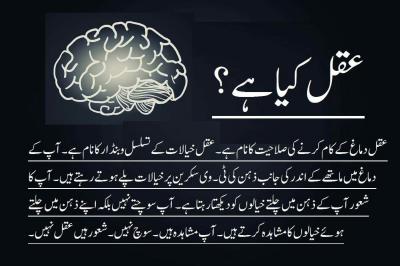 How Does Someone Lose Their Mind in Urdu