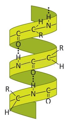 How Are Peptides Synthesized in Urdu
