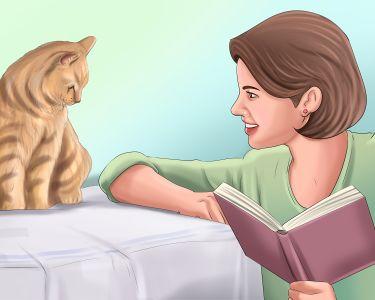 How to Draw a Cat Easy in Urdu