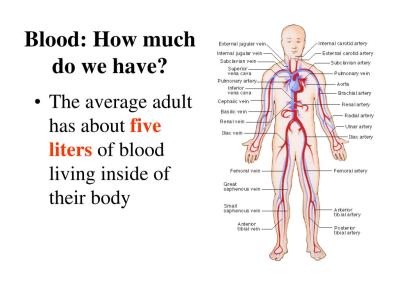 How Many Liters of Blood in the Average Human Body in Urdu
