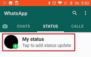 How Much Video Size Can Be Sent on WhatsApp in Urdu